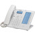 Panasonic KX-HDV230 in White